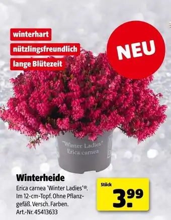 Hagebau Winterheide Angebot