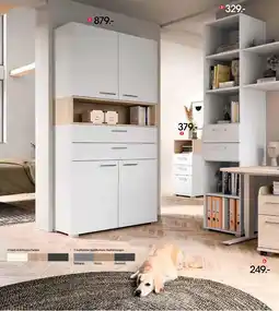 Zurbrüggen Moderano aktenregal Angebot