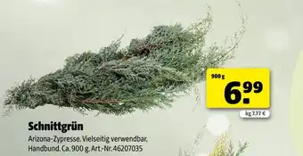 Hagebau Schnittgrün Angebot