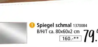 Zurbrüggen Spiegel schmal Angebot