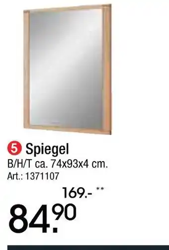 Zurbrüggen Spiegel Angebot