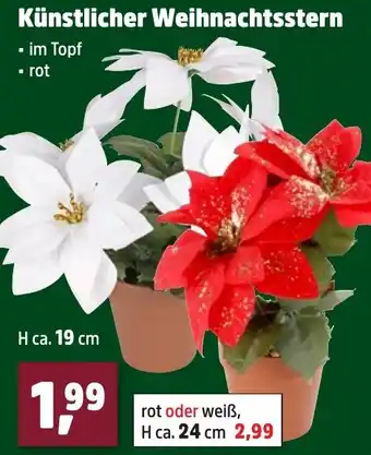 Thomas Philipps Künstlicher Weihnachtsstern Angebot