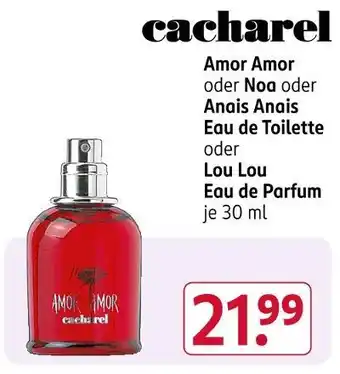 Rossmann Cacharel amor amor Angebot