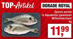 Handelshof DORADE ROYAL Angebot