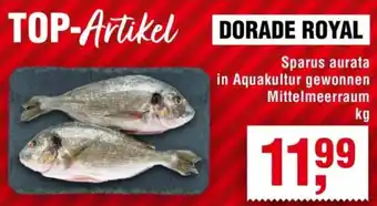 Handelshof DORADE ROYAL Angebot