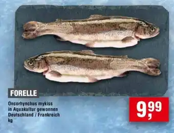 Handelshof FORELLE Angebot