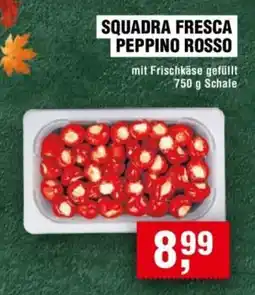 Handelshof SQUADRA FRESCA PEPPINO ROSSO Angebot