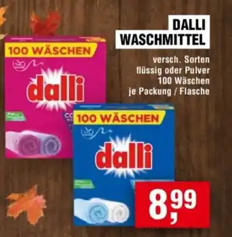 Handelshof DALLI WASCHMITTEL Angebot