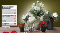 Handelshof KUNST-WEIHNACHTS- ARRANGEMENT Angebot