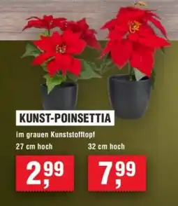 Handelshof KUNST-POINSETTIA Angebot
