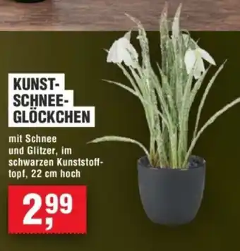 Handelshof KUNST- SCHNEEGLÖCKCHEN Angebot