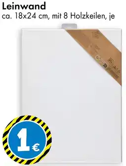 TEDi Leinwand Angebot