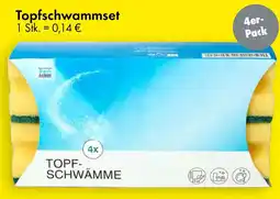 TEDi Topfschwammset Angebot