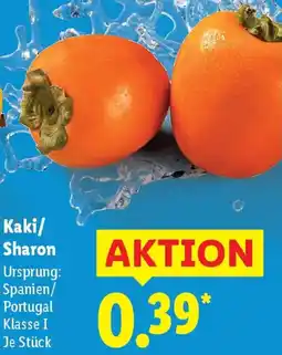 Lidl Kaki/ Sharon Angebot