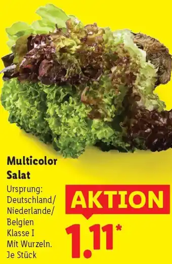 Lidl Multicolor Salat Angebot