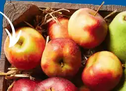 Lidl Bioland Wetteräpfel Angebot