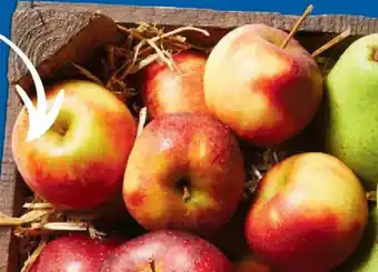 Lidl Bioland Wetteräpfel Angebot