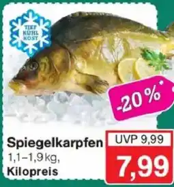 Jawoll Spiegelkarpfen Angebot
