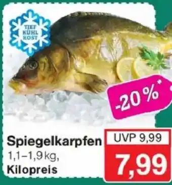 Jawoll Spiegelkarpfen Angebot
