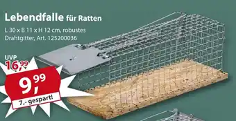 Sonderpreis Baumarkt Lebendfalle für Ratten Angebot