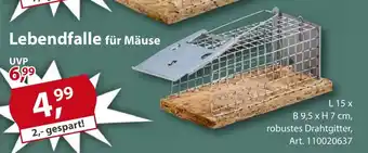 Sonderpreis Baumarkt Lebendfalle für Mäuse Angebot
