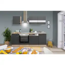 toom Baumarkt Respekta Küchenzeile 'Merle' mit E-Geräten KB220ESGC grau/eichefarben 220 cm Angebot