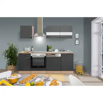 toom Baumarkt Respekta Küchenzeile 'Merle' mit E-Geräten KB220ESGC grau/eichefarben 220 cm Angebot