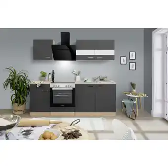 toom Baumarkt Respekta Küchenzeile 'Merle' mit E-Geräten KB210ESGSSC grau/eichefarben 210 cm Angebot