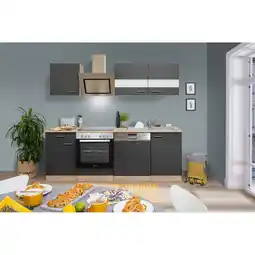 toom Baumarkt Respekta Küchenzeile 'Merle' mit E-Geräten KB220ESGSC grau/eichefarben 220 cm Angebot