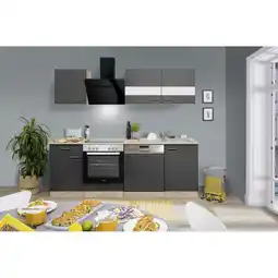 toom Baumarkt Respekta Küchenzeile 'Merle' mit E-Geräten KB220ESGSSC grau/eichefarben 220 cm Angebot