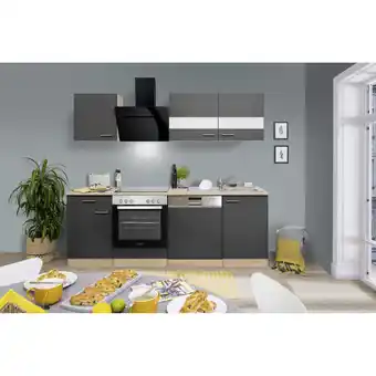 toom Baumarkt Respekta Küchenzeile 'Merle' mit E-Geräten KB220ESGSSC grau/eichefarben 220 cm Angebot