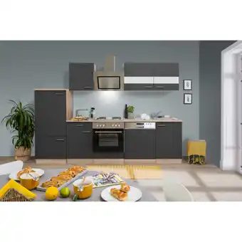 toom Baumarkt Respekta Küchenzeile 'Merle' mit E-Geräten KB280ESGS grau/eichefarben 280 cm Angebot