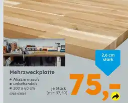 Globus Baumarkt Mehrzweckplatte Angebot