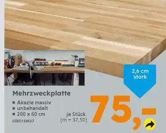 Globus Baumarkt Mehrzweckplatte Angebot