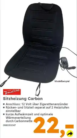 Globus Baumarkt TrendLine Sitzheizung Carbon Angebot
