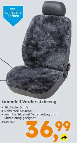 Globus Baumarkt Lammfell Vordersitzbezug Angebot