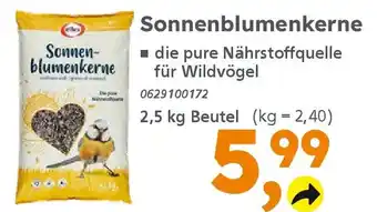 Globus Baumarkt elles Sonnenblumenkerne Angebot
