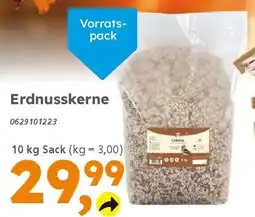 Globus Baumarkt elles Erdnusskerne Angebot