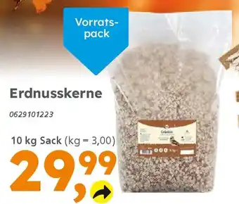 Globus Baumarkt elles Erdnusskerne Angebot