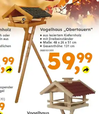 Globus Baumarkt Vogelhaus „Obertauern" Angebot