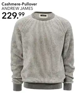 Peek & Cloppenburg Hamburg ANDREW JAMES Cashmere-Pullover Angebot