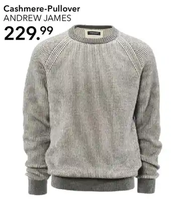 Peek & Cloppenburg Hamburg ANDREW JAMES Cashmere-Pullover Angebot