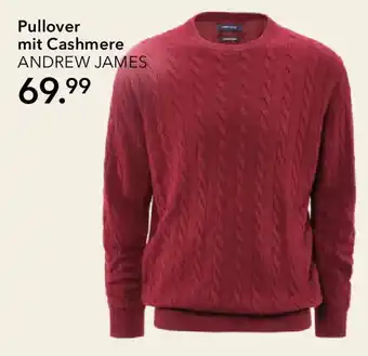 Peek & Cloppenburg Hamburg ANDREW JAMES Pullover mit Cashmere Angebot