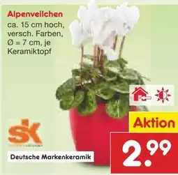 Netto Marken-Discount SK Alpenveilchen Angebot
