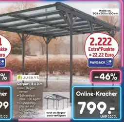 Netto Marken-Discount Juskys Carport Angebot