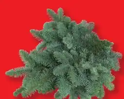 Lidl Handbund Nobilistanne Angebot