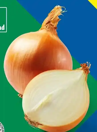 Lidl Bio Zwiebeln Angebot