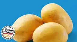 Lidl Speisekartoffeln Angebot