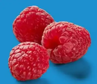 Lidl Himbeeren Angebot