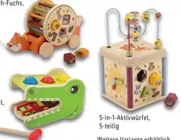 Lidl Lupilu Holz-Motorikspielzeug Angebot